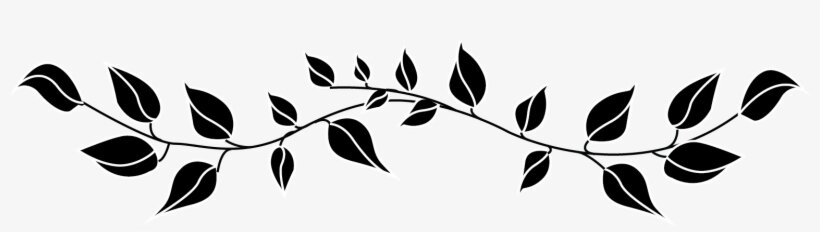 109-1092559_divider-png-free-download-on-mbtskoudsalg-transparent-leaves.png.bca5e3e3b8785dc106e68f5a1e1a5e78.png